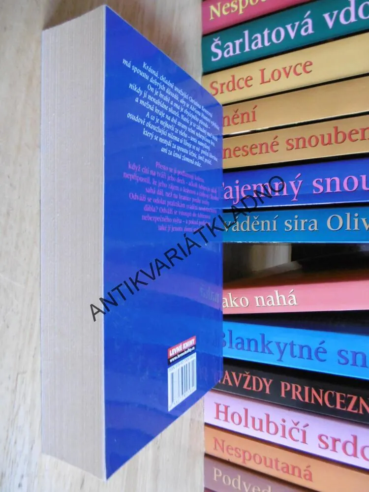 ANDĚL V RUDÝCH ŠATECH, JUDITH IVORYOVÁ