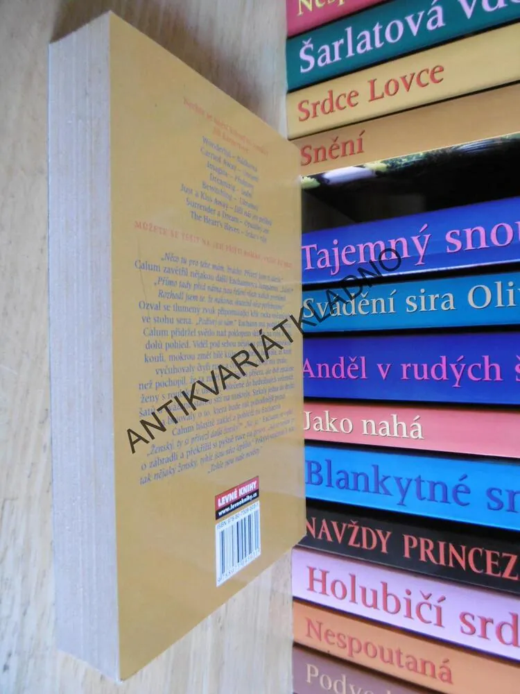 UNESENÉ SNOUBENKY,JILL BARNETTOVÁ, **an