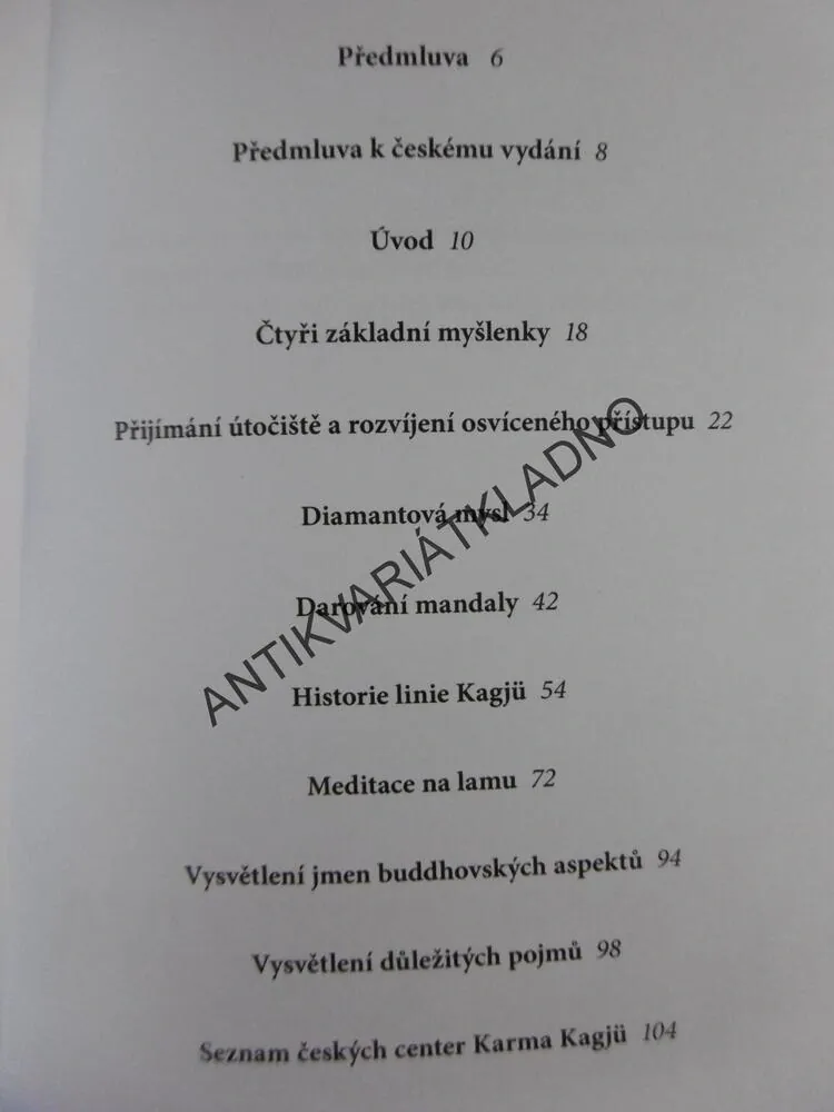 ČTYŘI PŘÍPRAVNÁ CVIČENÍ, LAMA OLE NYDAHL