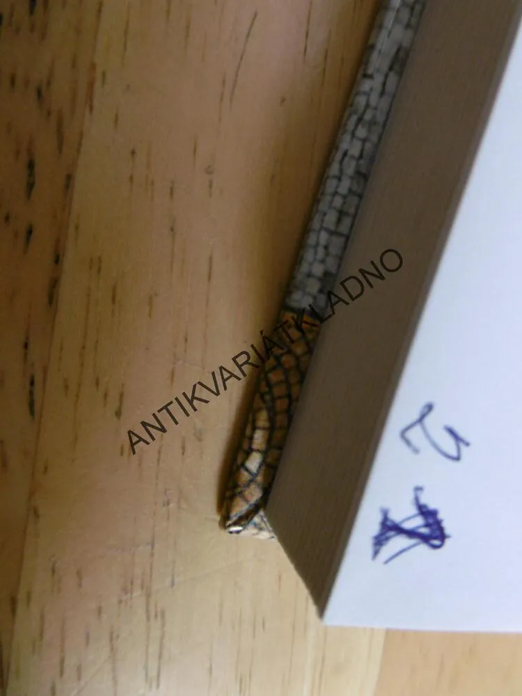 PEKAŘKA Z LÝDIE, DAVID WISHART, **an
