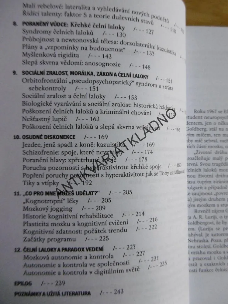 JAK NÁS MOZEK CIVILIZUJE, ELKHONON GOLDBERG