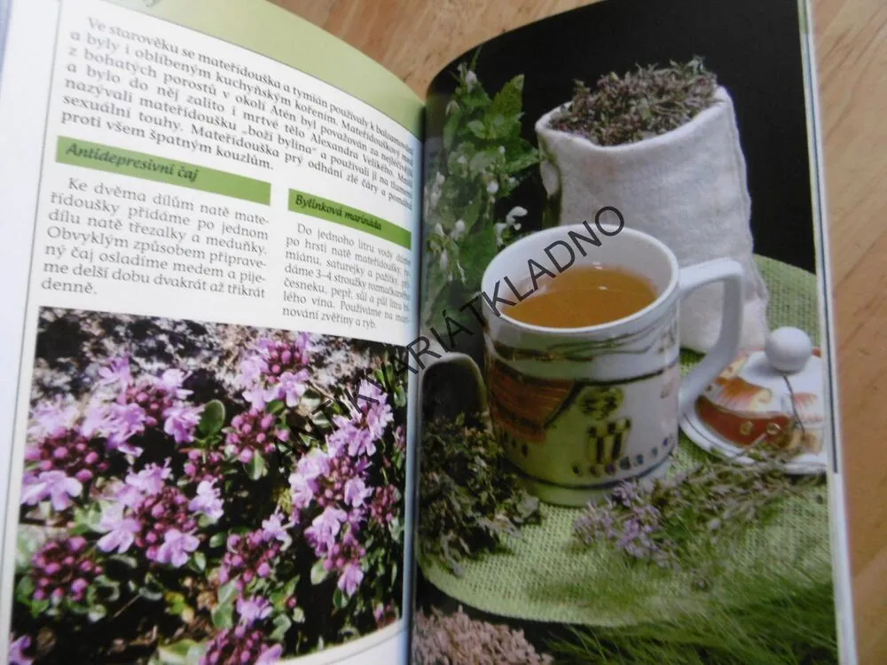 NAŠE NEJLEPŠÍ BYLINKY, DIONÝZ DUGAS, BABIČČIN RECEPTÁŘ