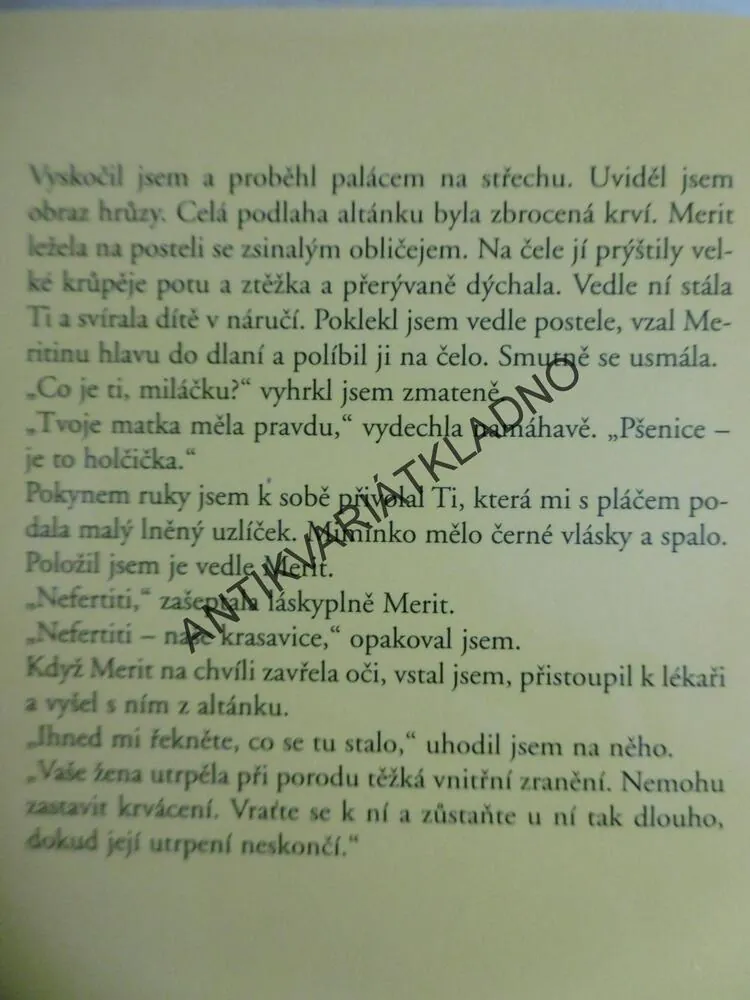 AMENOFIS, V ZEMI SOKOLÍHO BOHA, ANDREAS SCHRAMEK