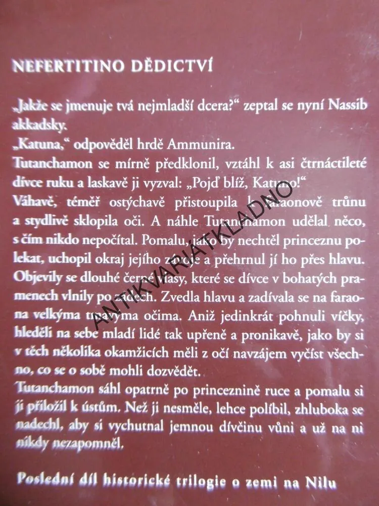 TUTANCHAMON, V ZEMI SOKOLÍHO BOHA, ANDREAS SCHRAMEK