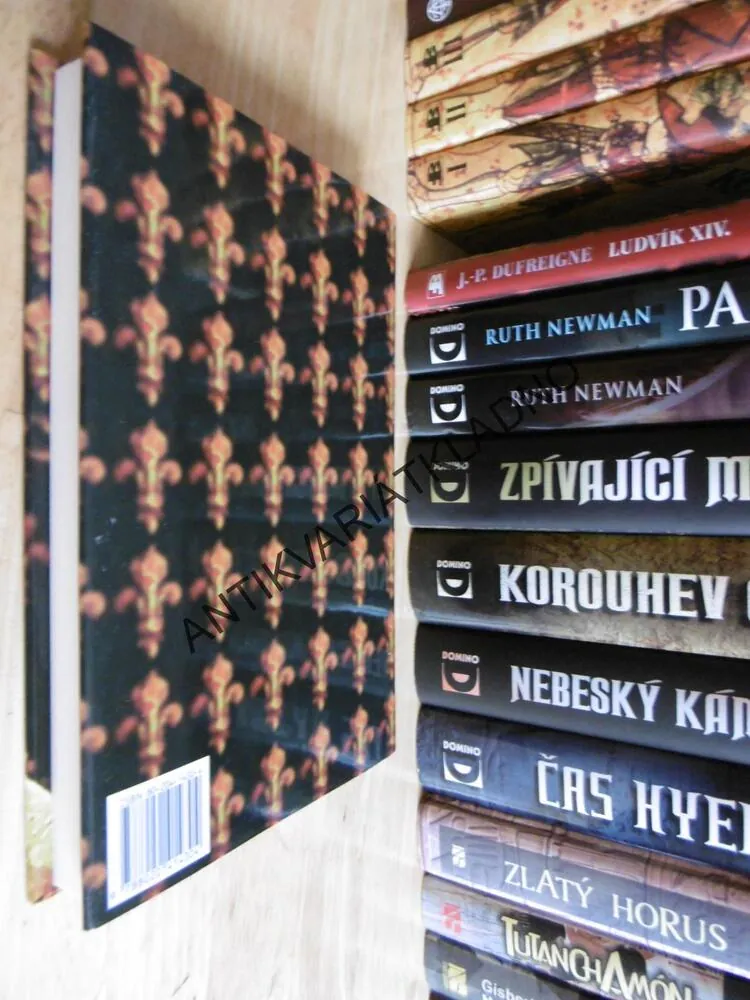 LUDVÍK XIV. ZA ČASŮ, KDY JSEM BÝVAL KRÁLEM, JEAN-PIERRE DUFREIGNE, **an