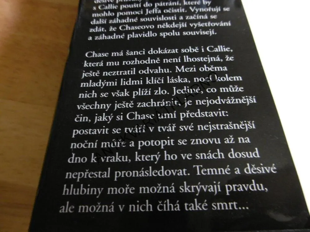 NOČNÍ MŮRA, RACHEL LEEOVÁ, **an