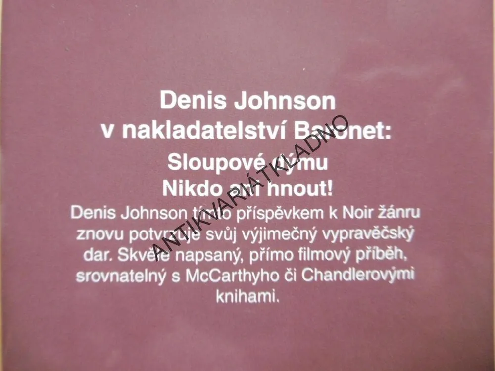NIKDO ANI HNOUT, DENIS JOHNSON, **an