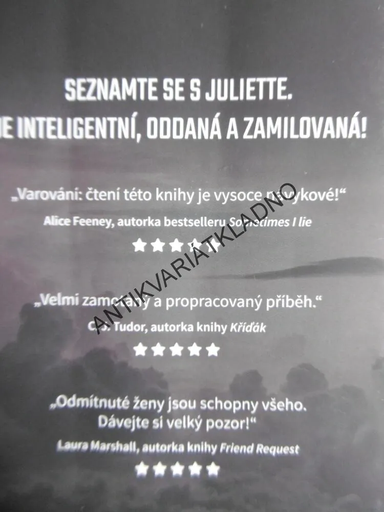 DOKONALÁ PŘÍTELKYNĚ, KAREN HAMILTON