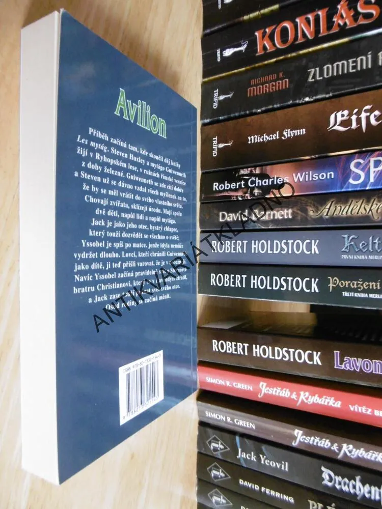 AVILION, ROBERT HOLDSTOCK