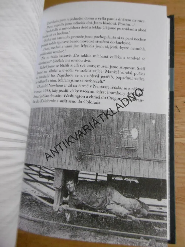DEN, KDY DOŠLY PRACHY, MILAN VODIČKA,