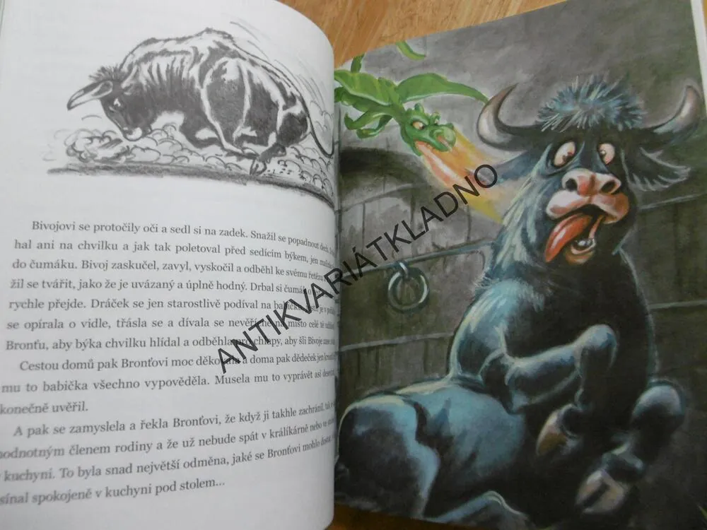 PRÁZDNINY S DRÁČKEM, VANĚČEK, ONDŘEJ ZAHRADNÍČEK, **an