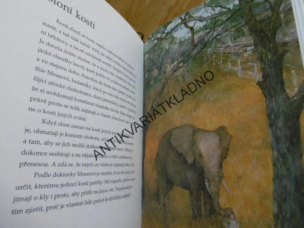 KDYŽ SE ZVÍŘATA KAMARÁDÍ, JEFFREY MOUSSAIEFF MASSON, **an