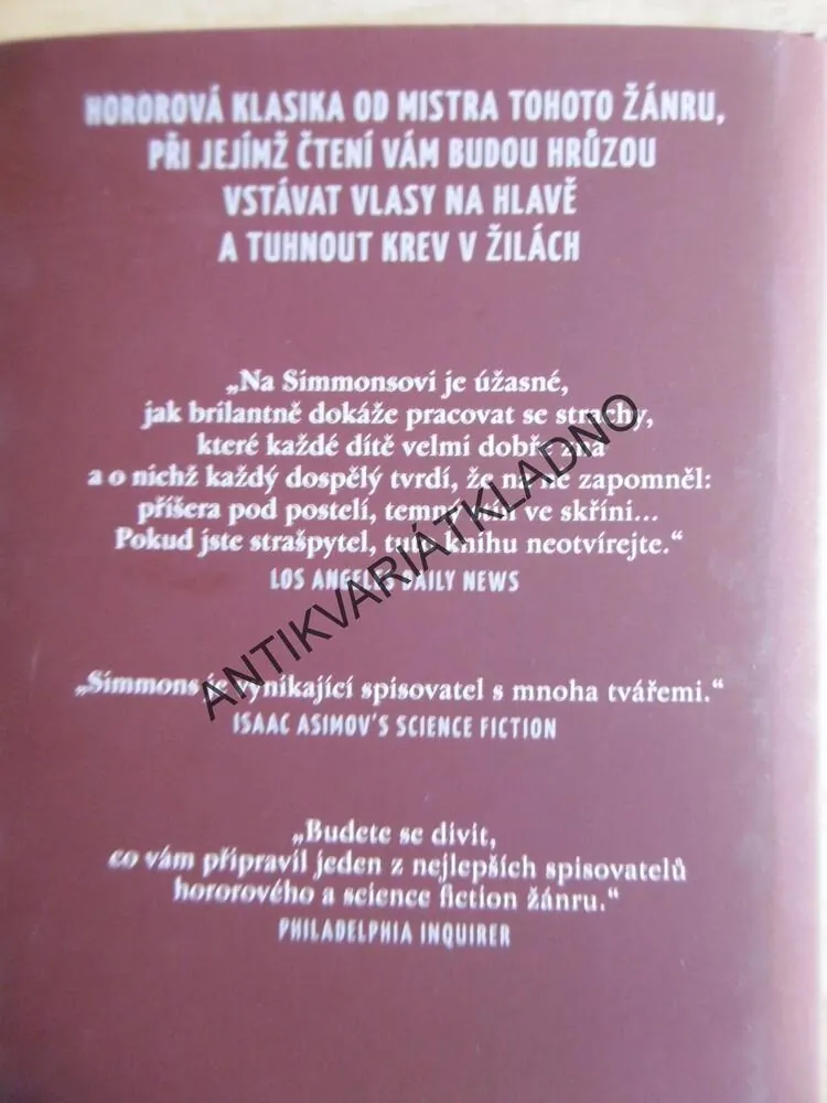 TEMNÉ LÉTO, DAN SIMMONS,