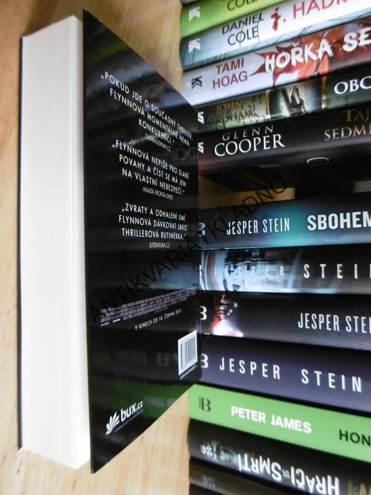 TEMNÉ KOUTY, GILLIAN FLYNNOVÁ, FLYNN, BESTSELLER, **an
