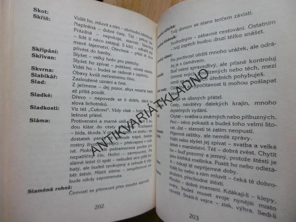 VELKOOBSAŽNÝ SNÁŘ, VĚRA KUBIŠTOVÁ-ŠKOCHOVÁ, **an