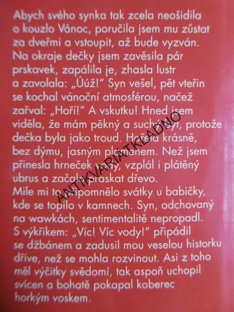 KOUKÁM A CO NEVIDÍM, IVANKA DEVÁTÁ
