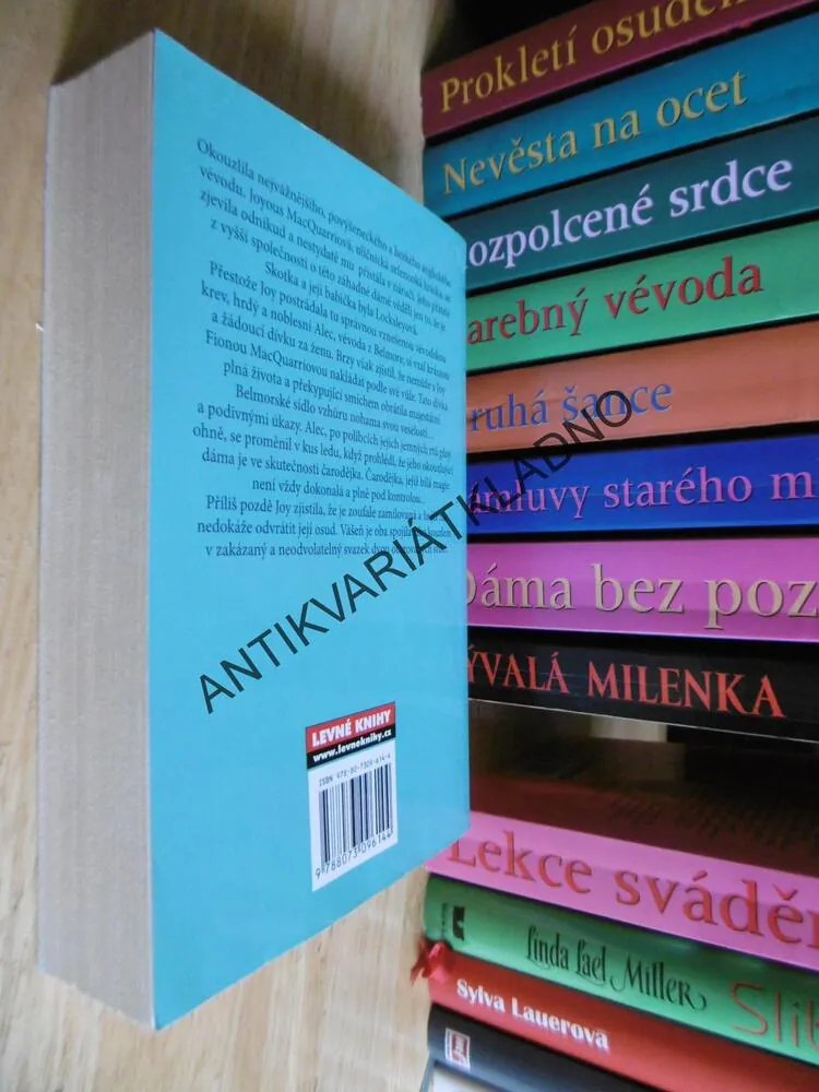 OKOUZLUJÍCÍ ČARODĚJKA, JILL BARNETTOVÁ, **an