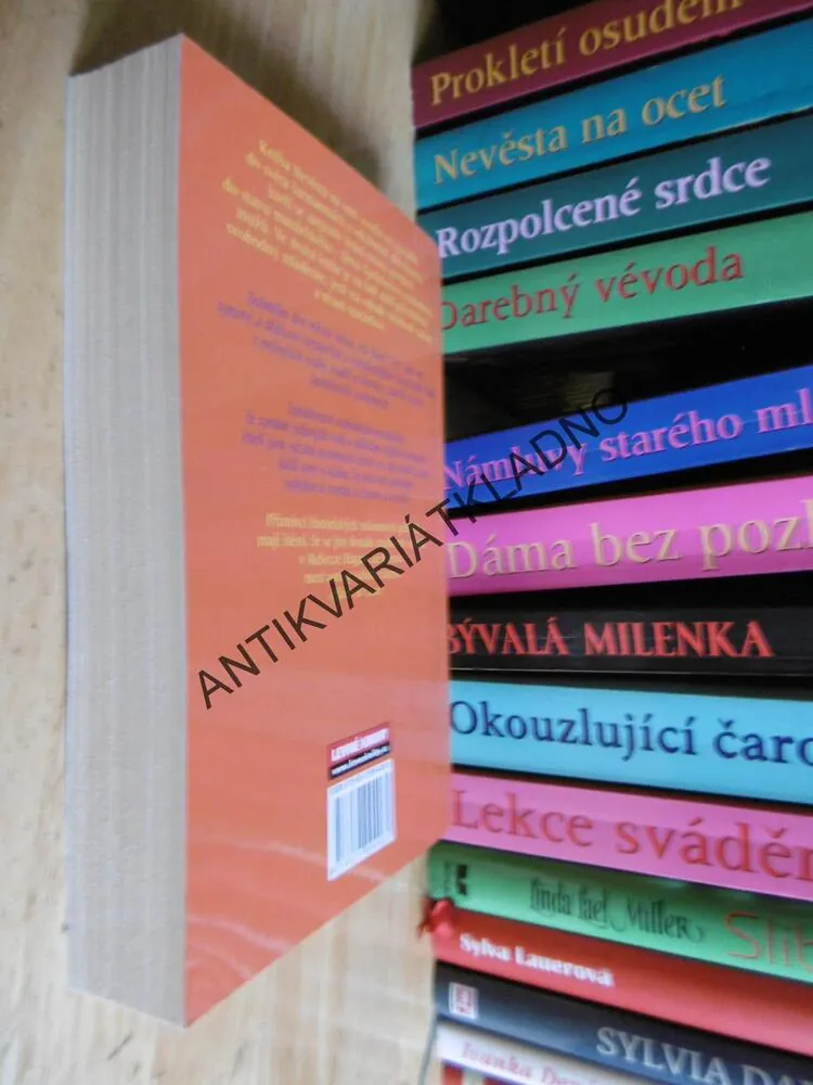 DRUHÁ ŠANCE, REBECCA HAGAN LEEOVÁ, **an