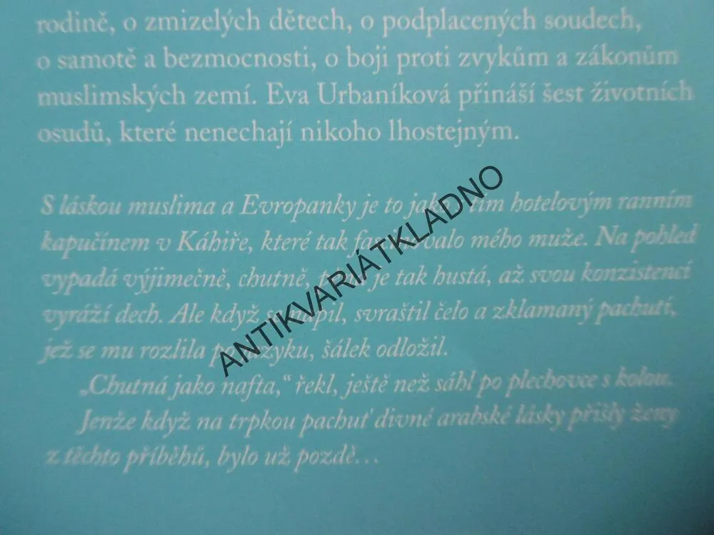 ZTRACENÉ, EVA URBANÍKOVÁ