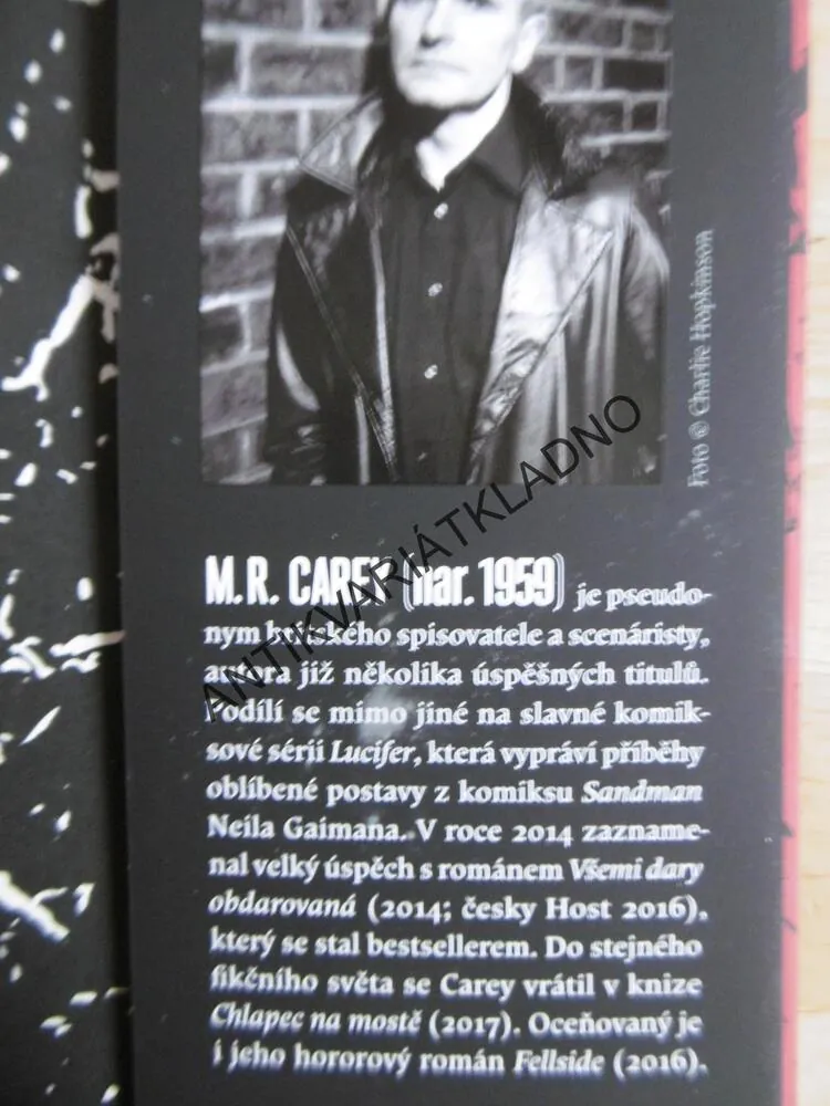 CHLAPEC NA MOSTĚ, M.R.CAREY