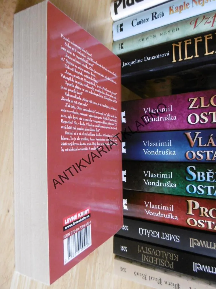 PRODAVAČ ODPUŠTĚNÍ, BRENDA RICKMAN VANTREEASE, **an