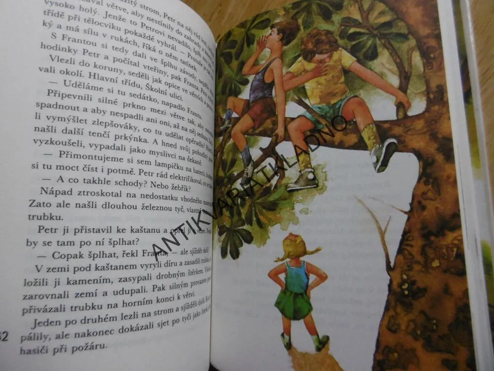 SMĚR ČERVENÝ ÚJEZD, ANNA BLAŽÍČKOVÁ, DISMAN, **an