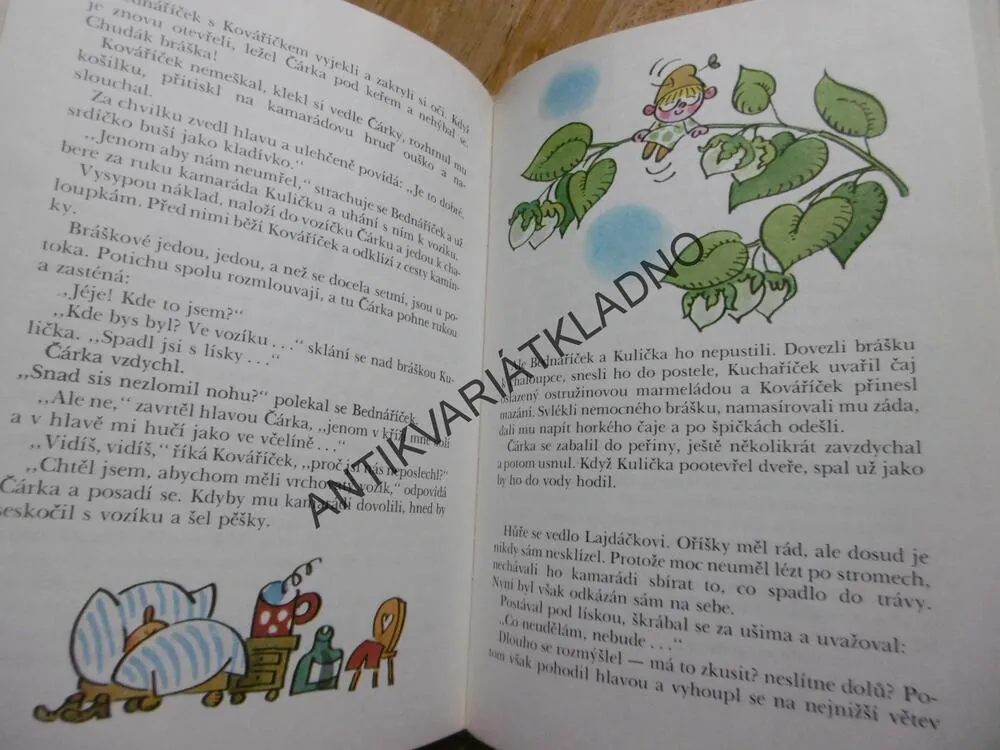 BRÁŠKA LAJDÁČEK, JOSEF FILGAS, MILOŠ NESVADBA, **an