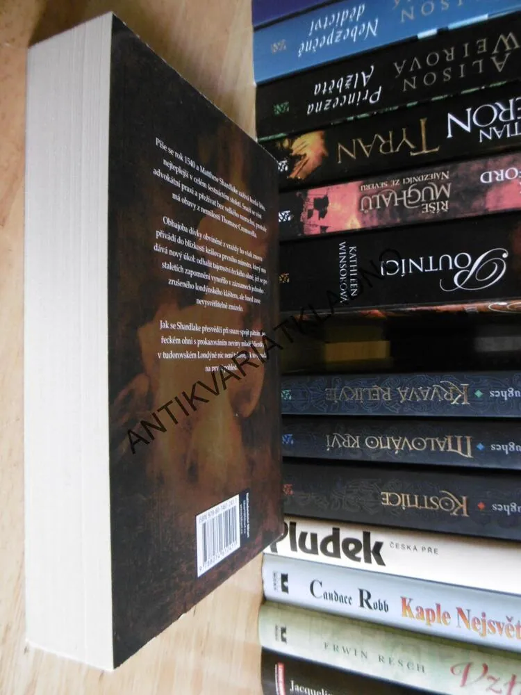 TEMNÝ OHEŇ, C.J. SANSOM