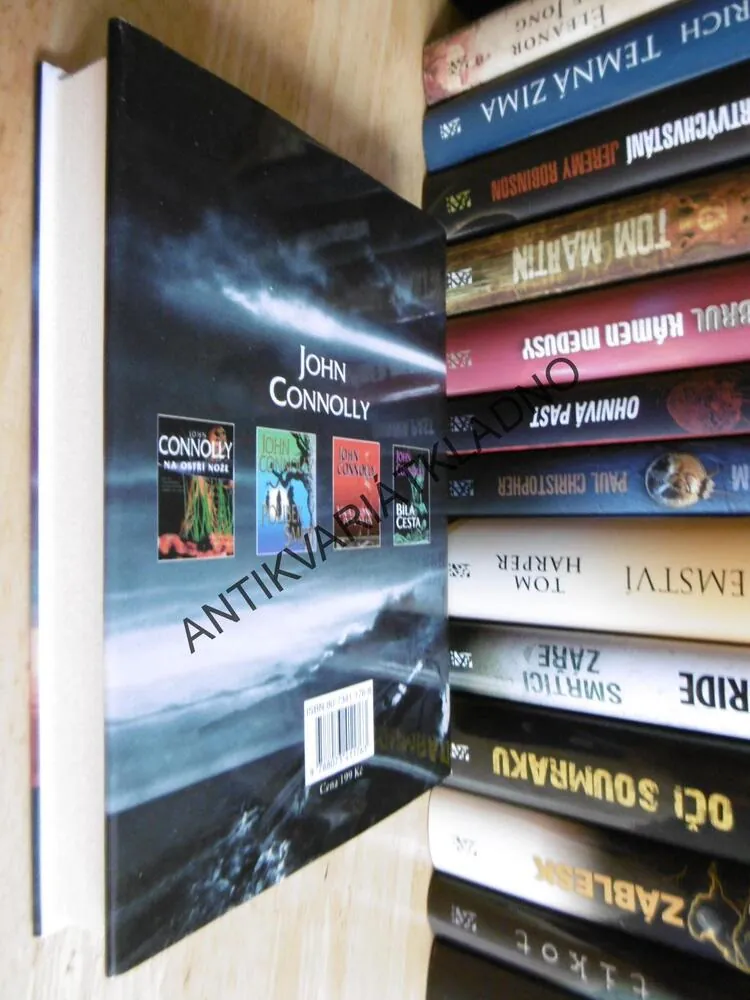 MIZEROVÉ, JOHN CONNOLLY