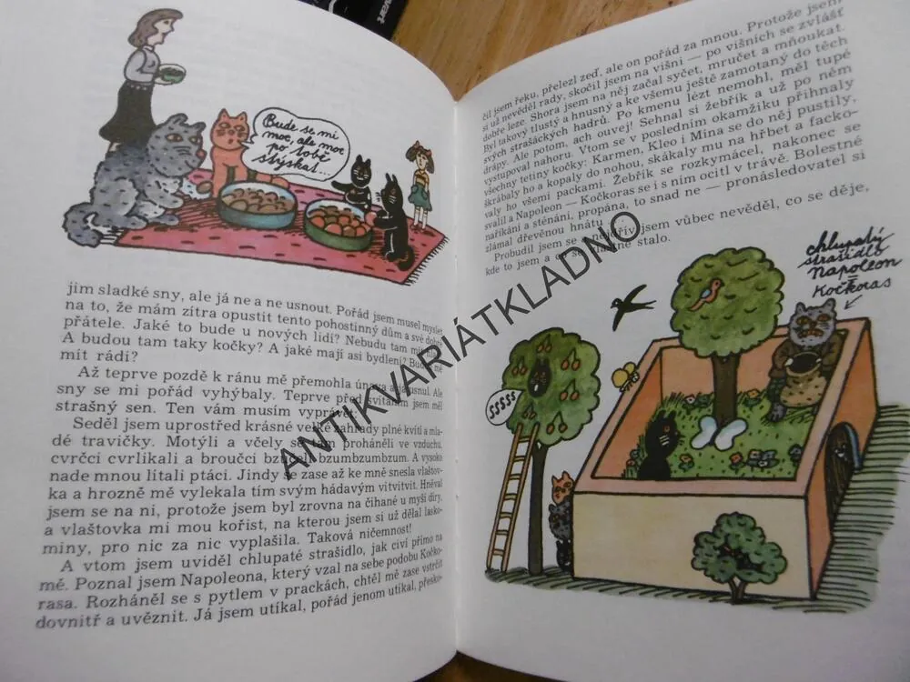 JÁ, KOCOUR STANDA, BEN BUDAR, **an