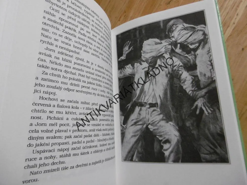 HURA-KURA ZELENÝ NÁRAMEK, TORRY GREDSTED, S PUŠKOU A LASEM