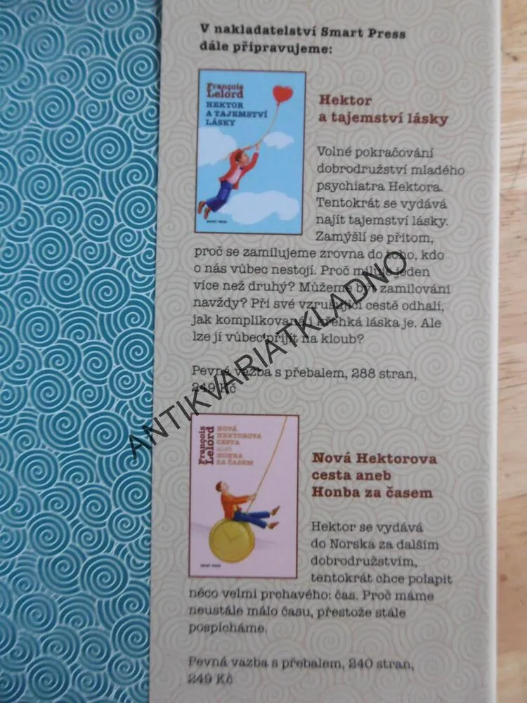 HEKTOROVA CESTA ANEB HLEDÁNÍ ŠTĚSTÍ, FRANCOIS LELORD, **an