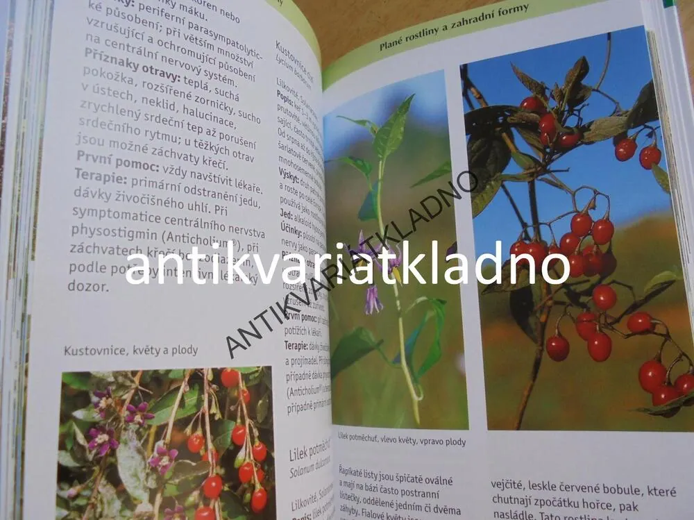 PRŮVODCE PŘÍRODOU- JEDOVATÉ ROSTLINY A ŽIVOČICHOVÉ