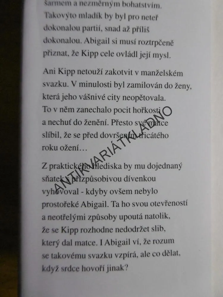 PLAMEN LÁSKY, KASEY MICHAELS