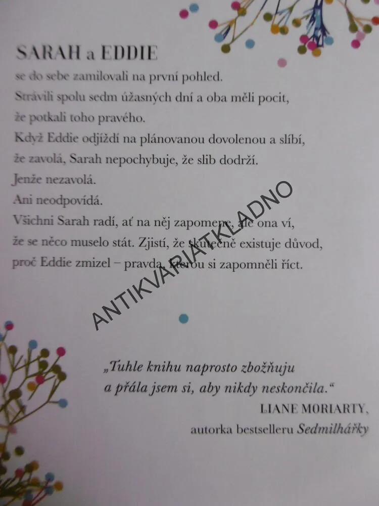 MUŽ, KTERÝ UŽ NEZAVOLAL, ROSIE WALSH,