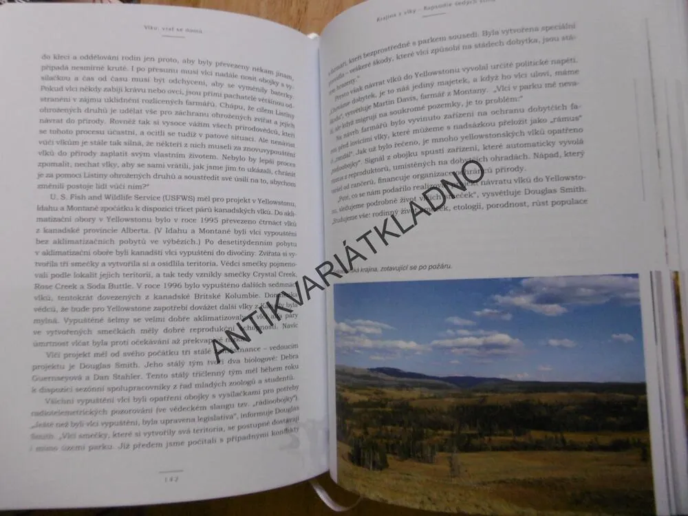 KRAJINA S VLKY, RAPSODIE ŠEDÝCH STÍNŮ, JAROSLAV MONTE KVASNICA