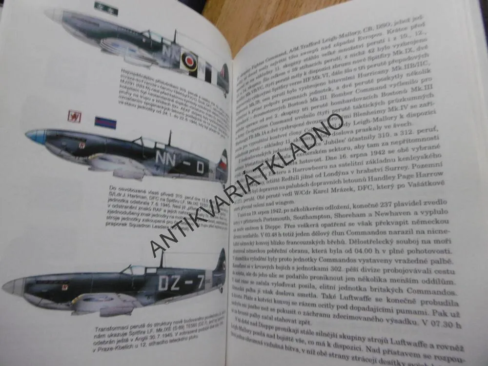 310. STÍHACÍ PERUŤ, JIŘÍ RAJLICH, **an