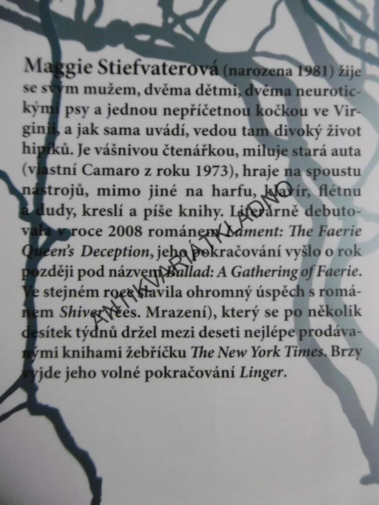 MRAZENÍ, MAGGIE STIEFVATEROVÁ