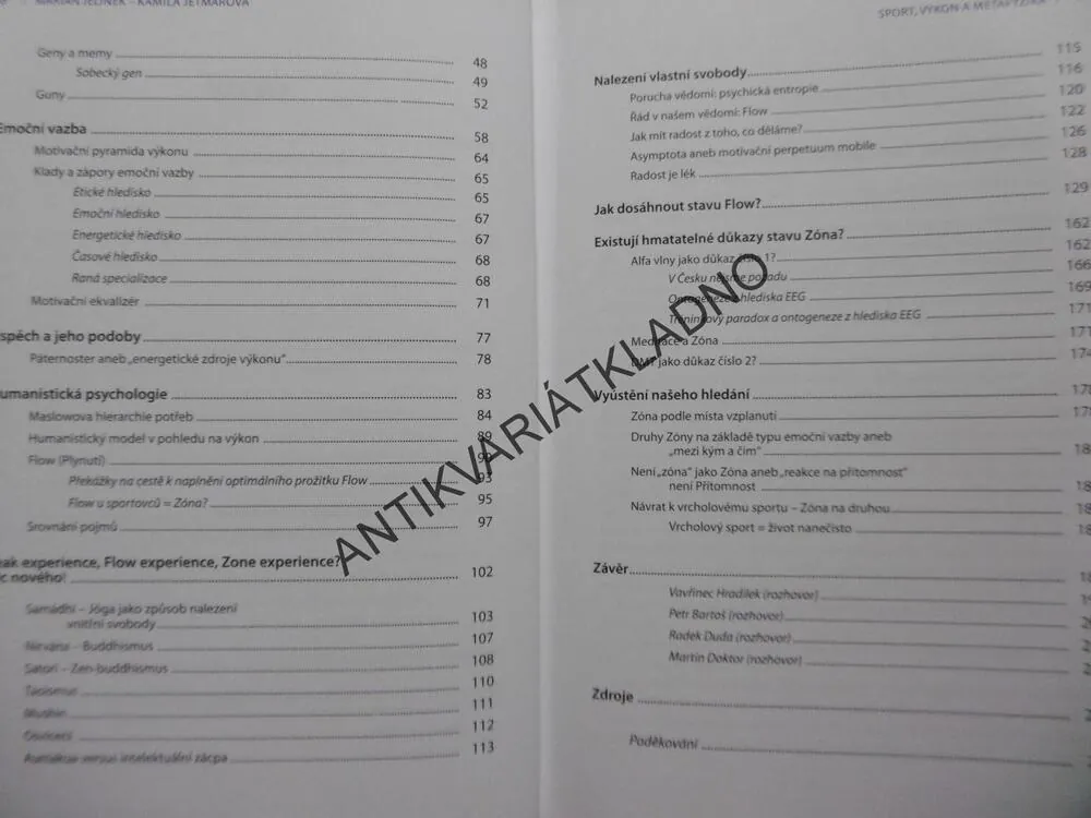 SPORT, VÝKON A METAFYZIKA, JELÍNEK, JETMAROVÁ