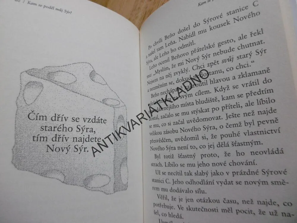 KAM SE PODĚL MŮJ SÝR, SPENCER JOHNSON,**an