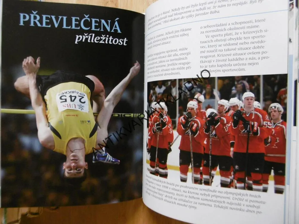 ÚSPĚCH A JEHO SPIRITUÁLNÍ DIMENZE, MÝTUS FIKCE, SKUTEČNOST, JELÍNEK, KUCHAŘ