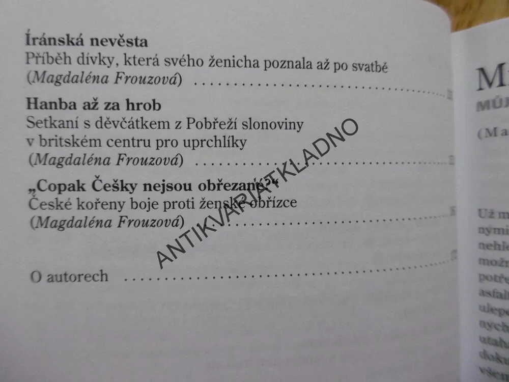 MŘÍŽE V RÁJI, MUSLIMSKÉ ŽENY V EVROPĚ, MAGDALÉNA FROUZOVÁ