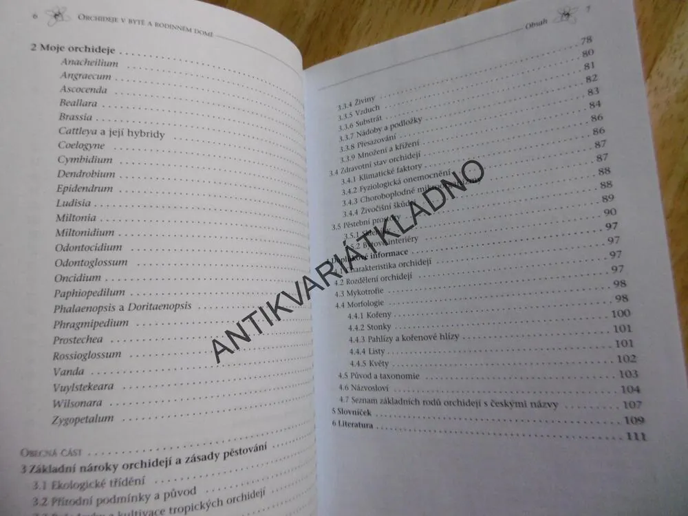 ORCHIDEJE V BYTĚ A RODINNÉM DOMĚ
