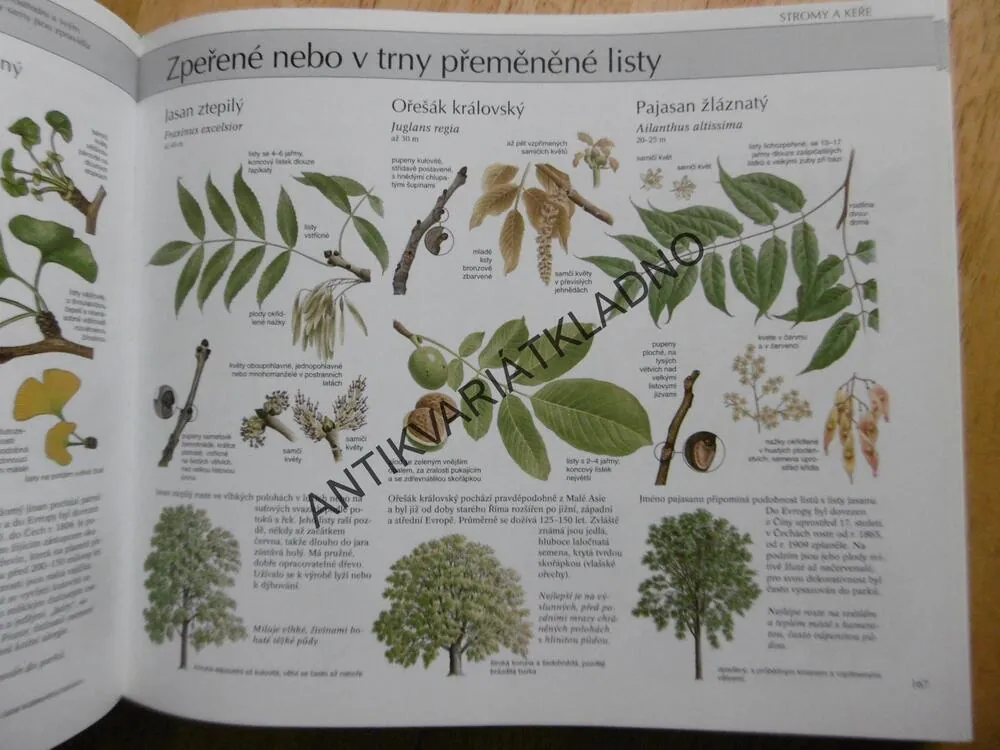 NAŠE PŘÍRODA, ŽIVOČICHOVÉ A ROSTLINY STŘEDNÍ EVROPY, **an