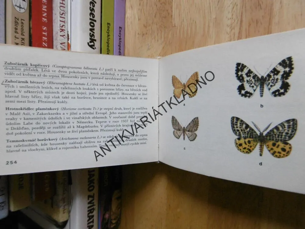 NAŠI NOČNÍ MOTÝLI, MOUCHA, ZAHRADNÍK, VANČURA, EDICE OKO 40, **an