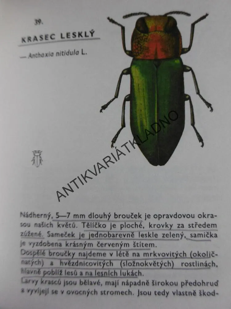KAPESNÍ ATLAS BROUKŮ, S URČOVACÍM KLÍČEM, 1968, JAVOREK, **an