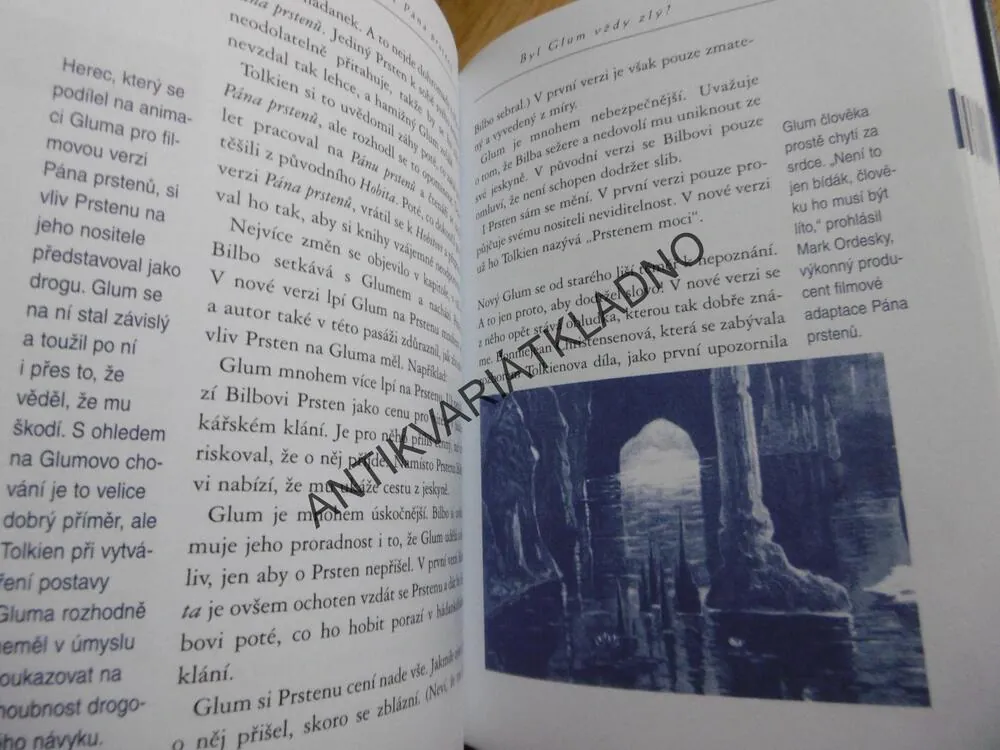 KOUZELNÝ SVĚT PÁNA PRSTENŮ, DAVID COLBERT,