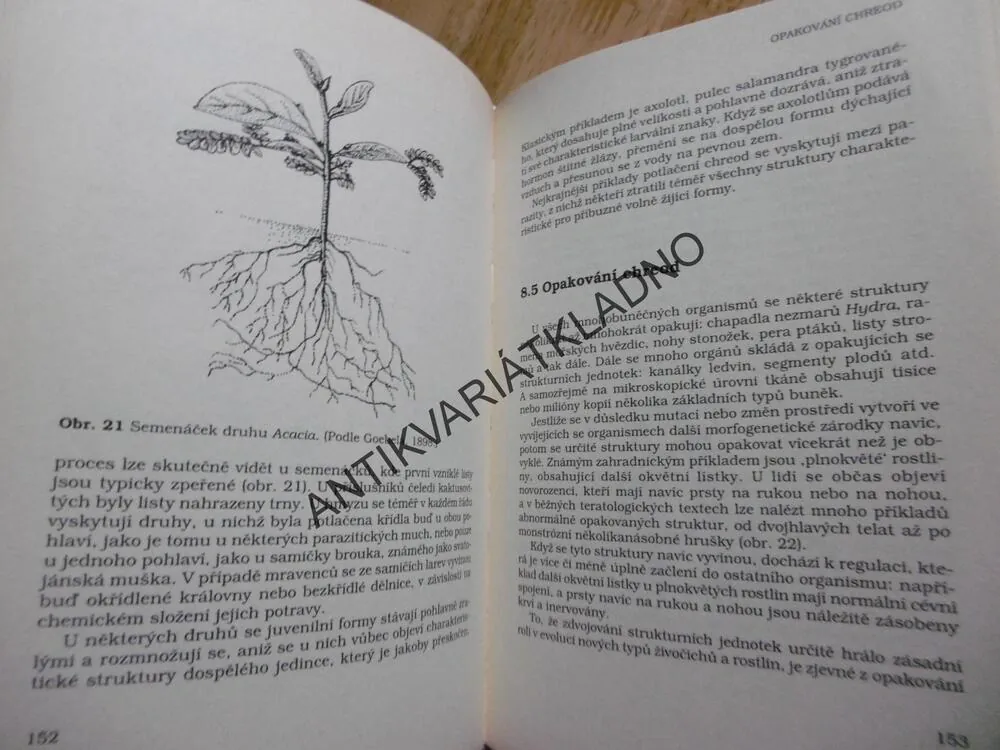 TEORIE MORFICKÉ REZONANCE, NOVÁ VĚDA O ŽIVOTĚ, RUPERT SHELDRAKE
