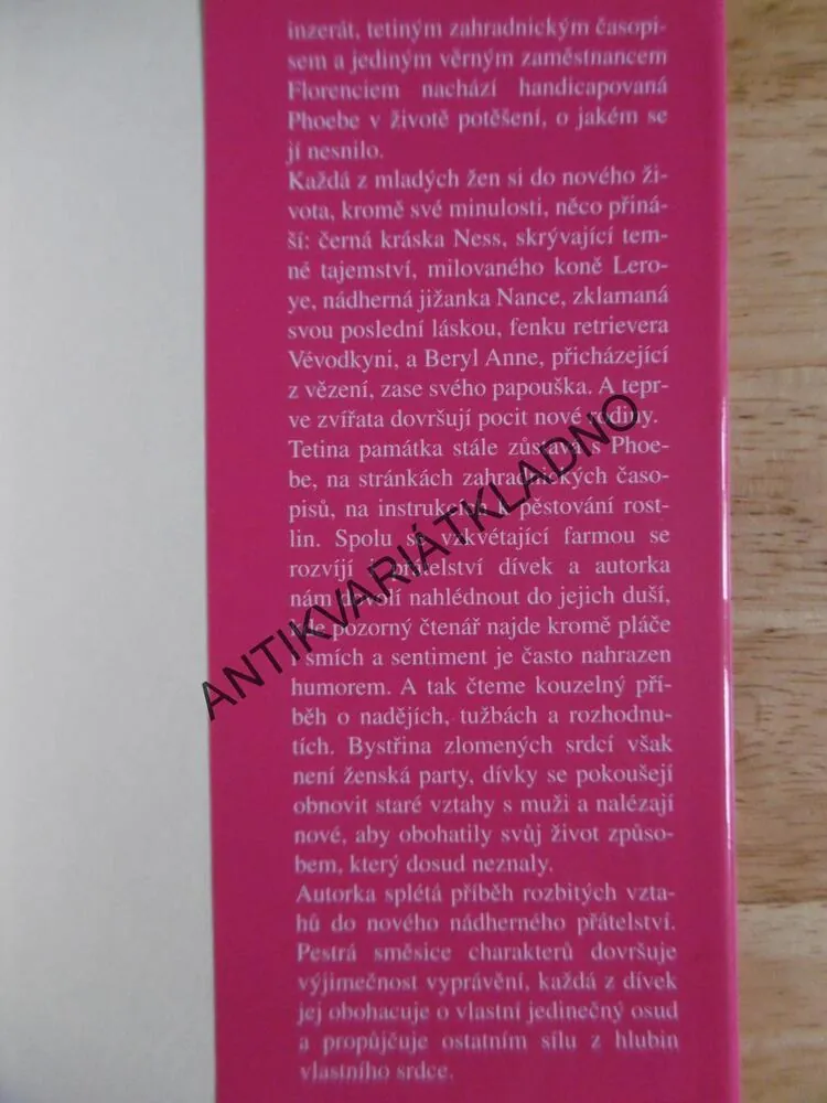 BYSTŘINA ZLOMENÝCH SRDCÍ, JO-ANN MAPSON, **an