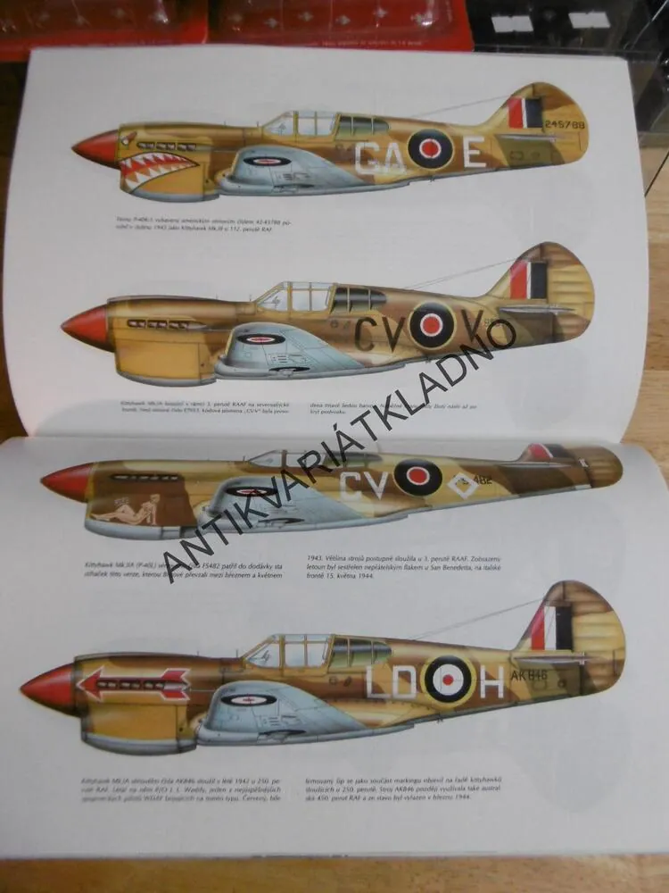 CURTISS KITTYHAWK, VÁLKA V AFRICE 1941-1943, ŠNAJDR, **an